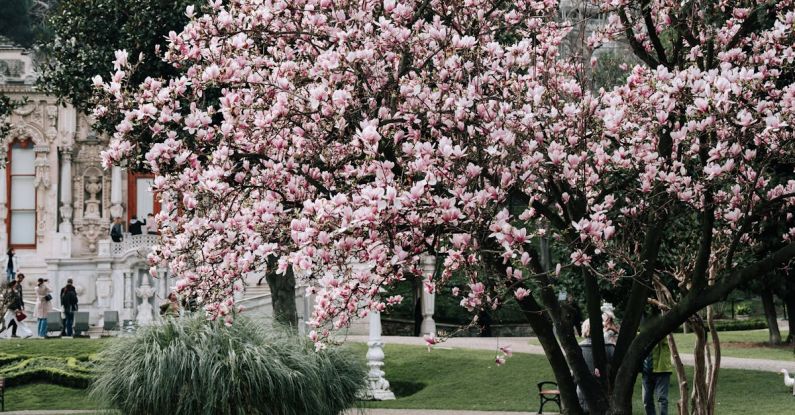 Color Principles - A pond with pink blossoms and a statue