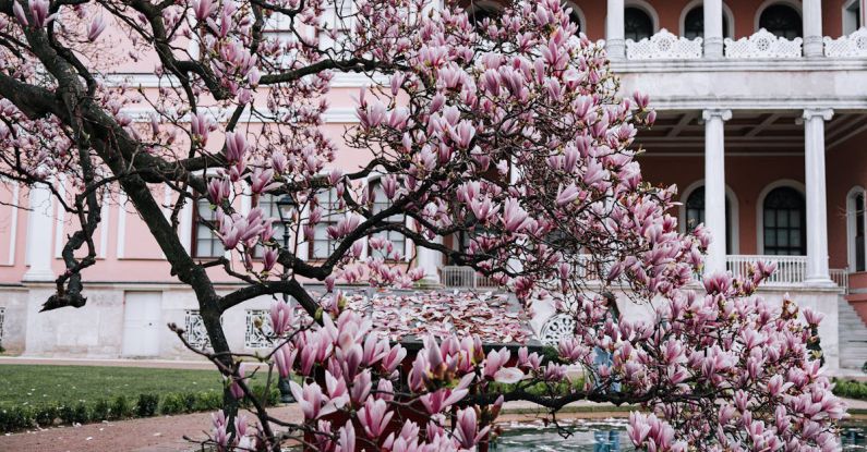 Color Usage - A pink tree in front of a pink building